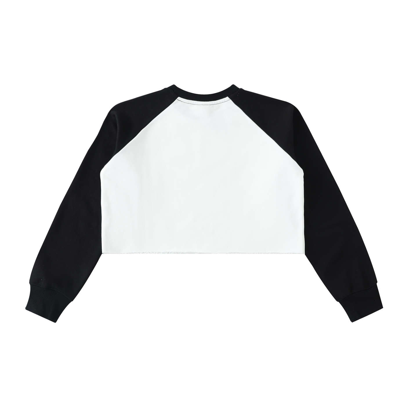 Just Another Groupie • Raw-Hem Color-Block Crop Sweatshirt
